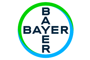 logo2
